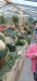 ka1